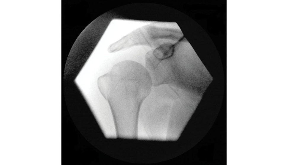 Figure 12.1b