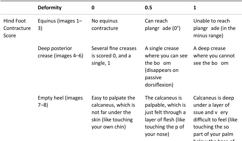Table rendered from source