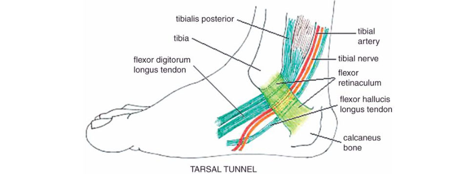 Figure 19.9