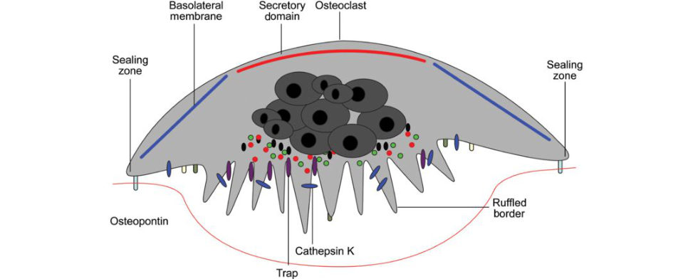 Figure 20.1