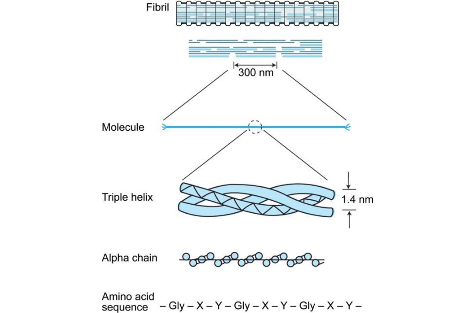 Figure 20.4