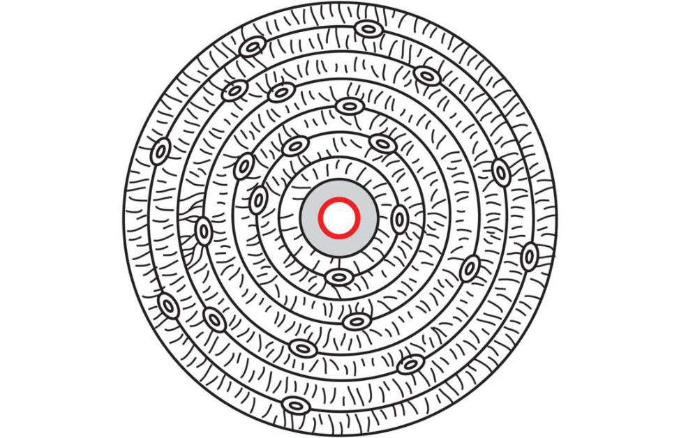 Figure 20.6