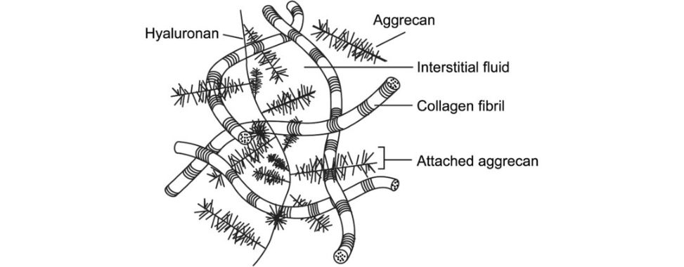 Figure 20.13
