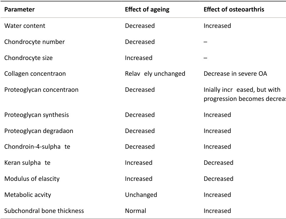 Table rendered from source
