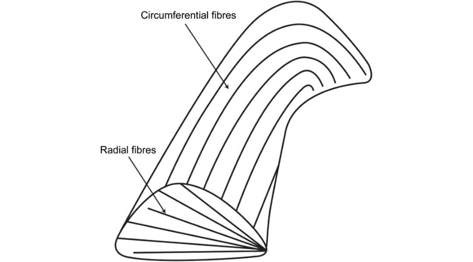 Figure 20.24