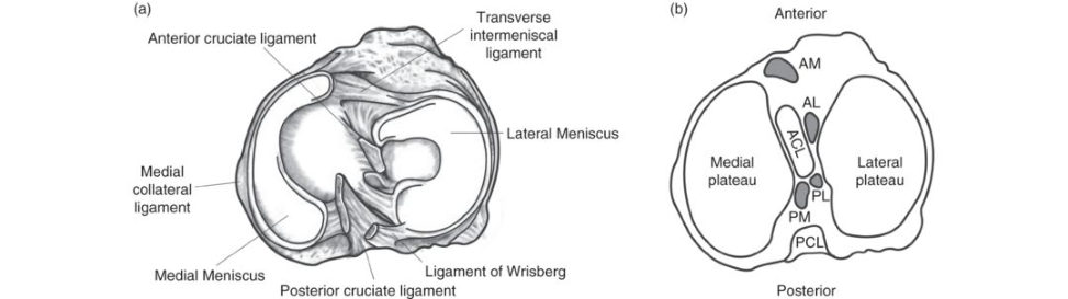 Figure 20.27