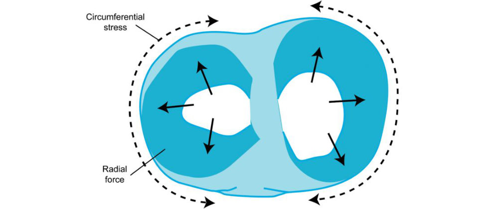 Figure 20.31