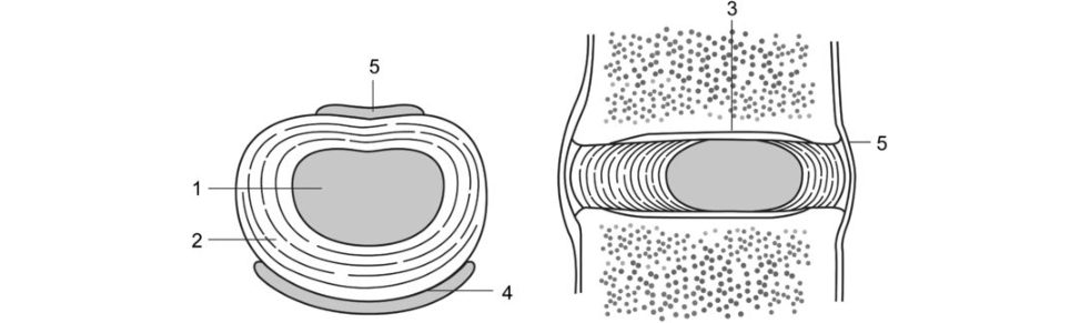 Figure 20.36