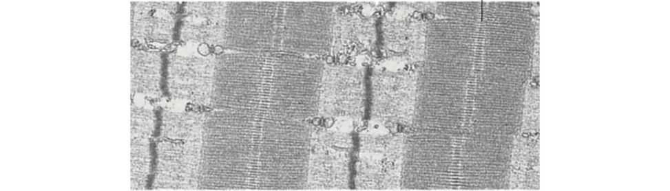 Figure 20.40
