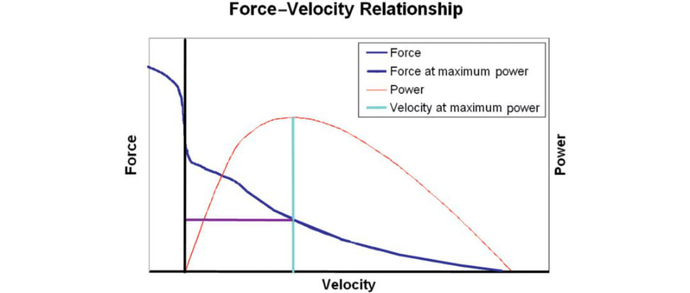 Figure 20.56