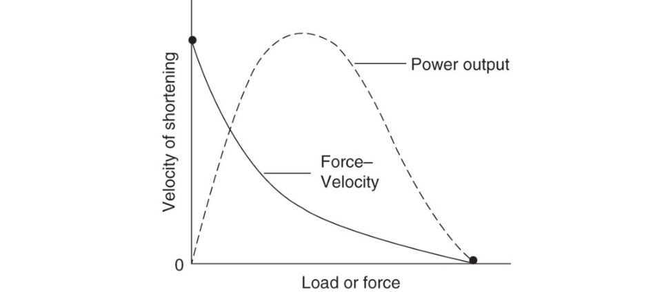 Figure 20.57