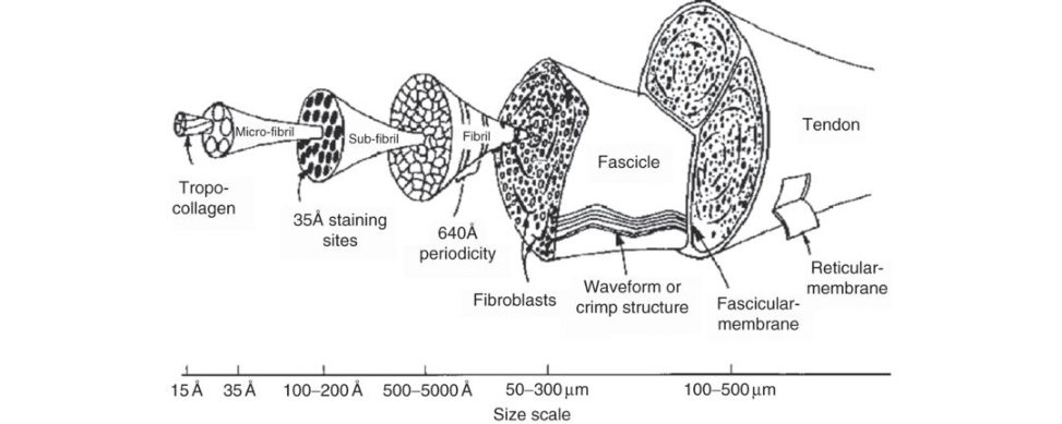 Figure 20.58