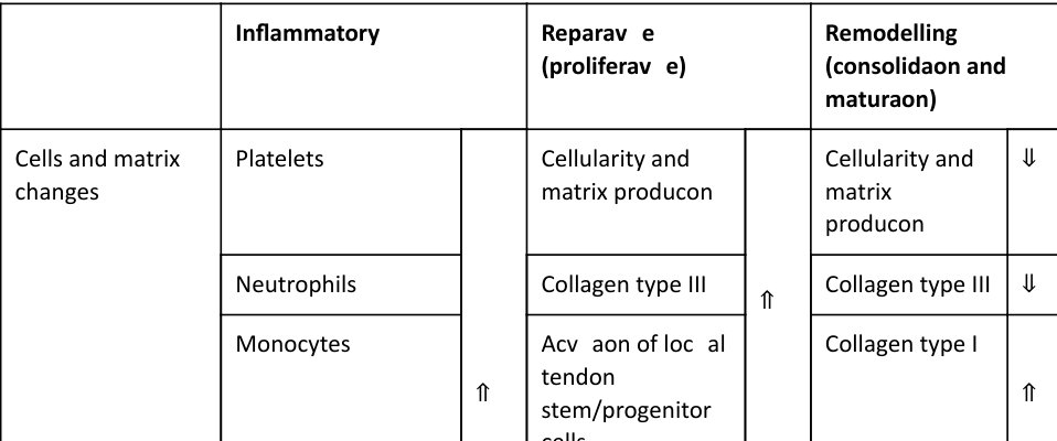 Table rendered from source