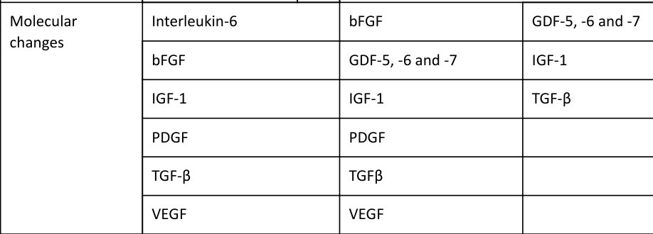 Table rendered from source