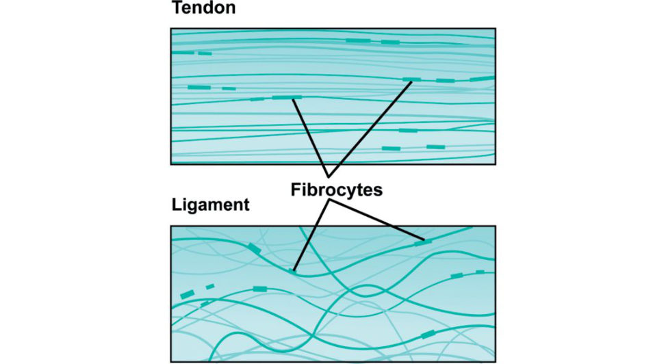 Figure 20.60