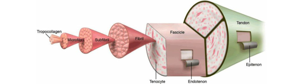 Figure 20.65