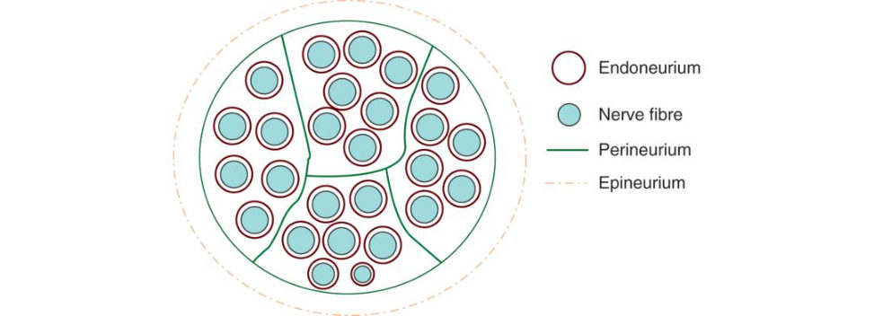 Figure 20.67