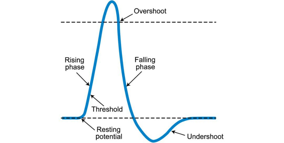 Figure 20.70