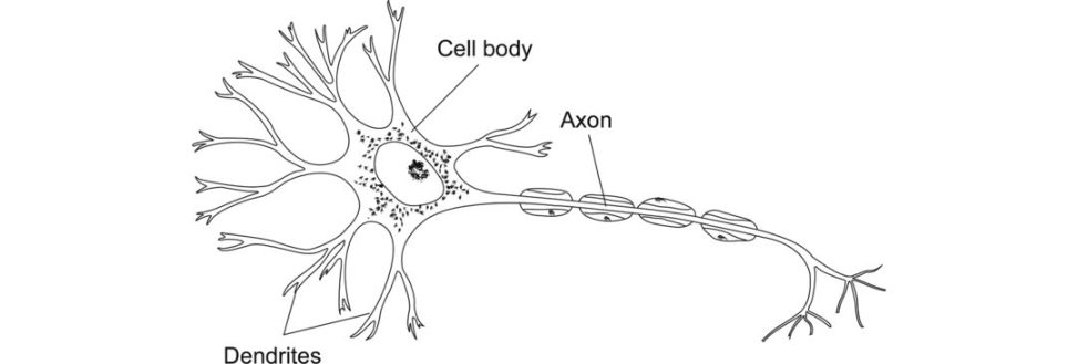 Figure 20.73