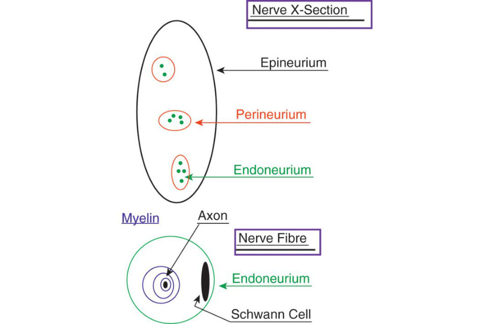 Figure 20.74