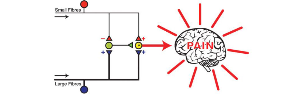 Figure 23.1