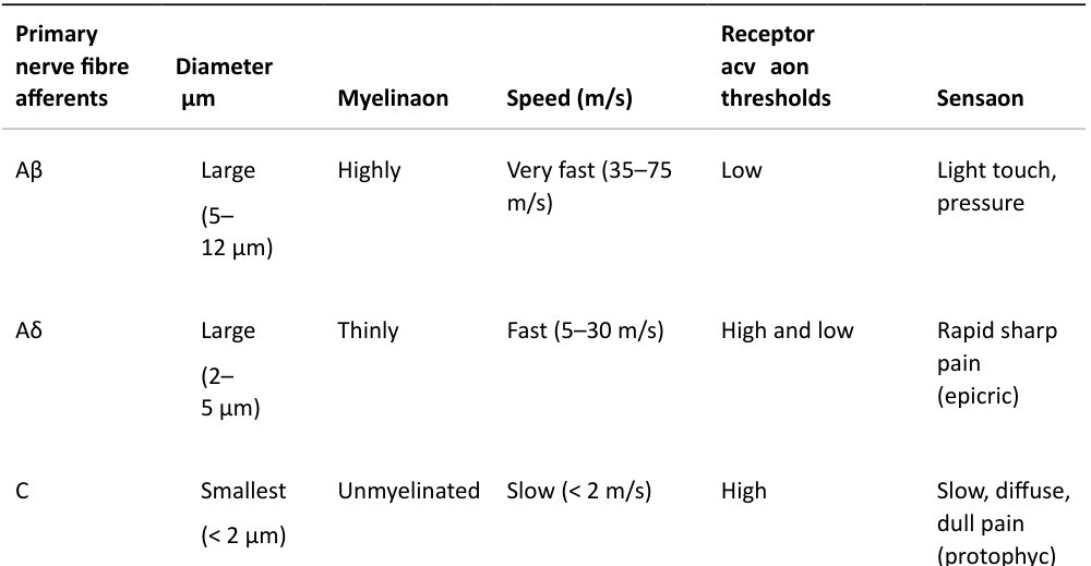 Table rendered from source
