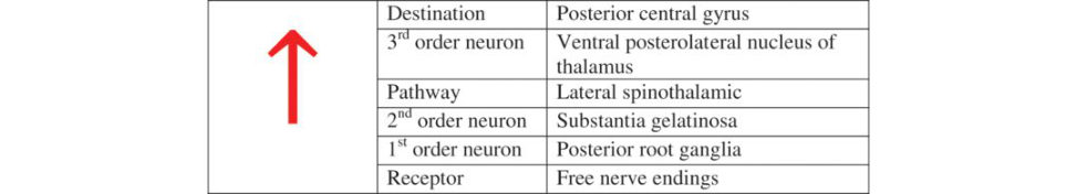 Figure 23.2
