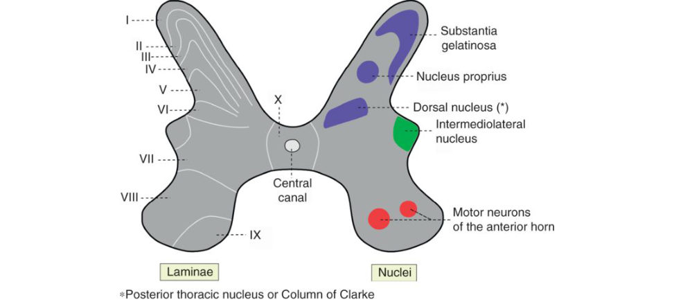 Figure 23.5