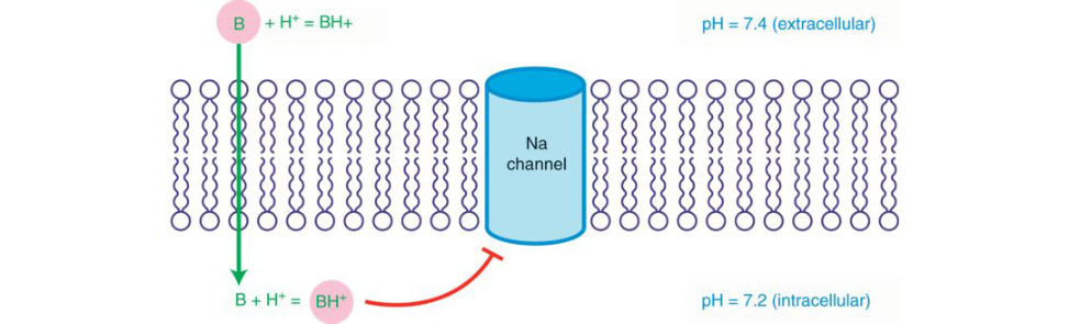 Figure 23.7