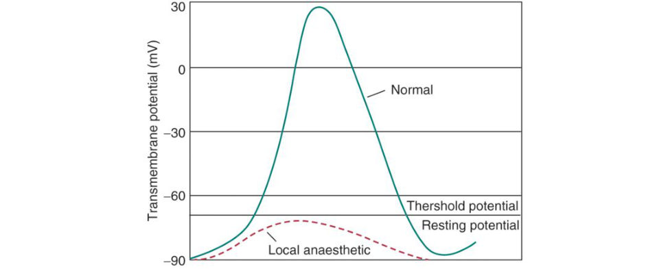 Figure 23.6