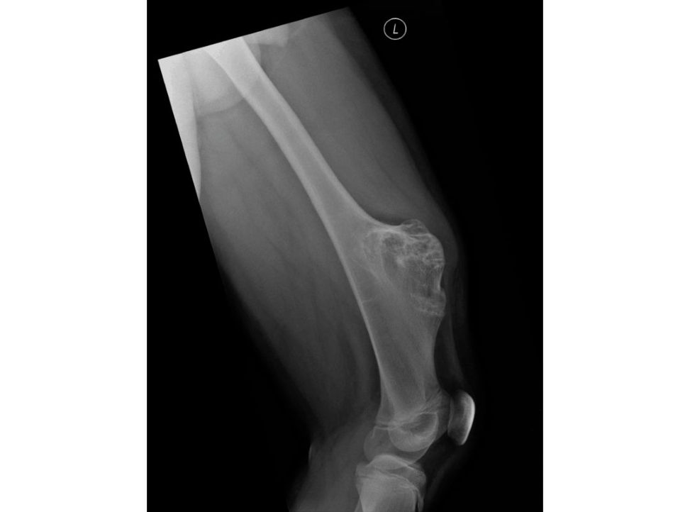 Figure 24.1