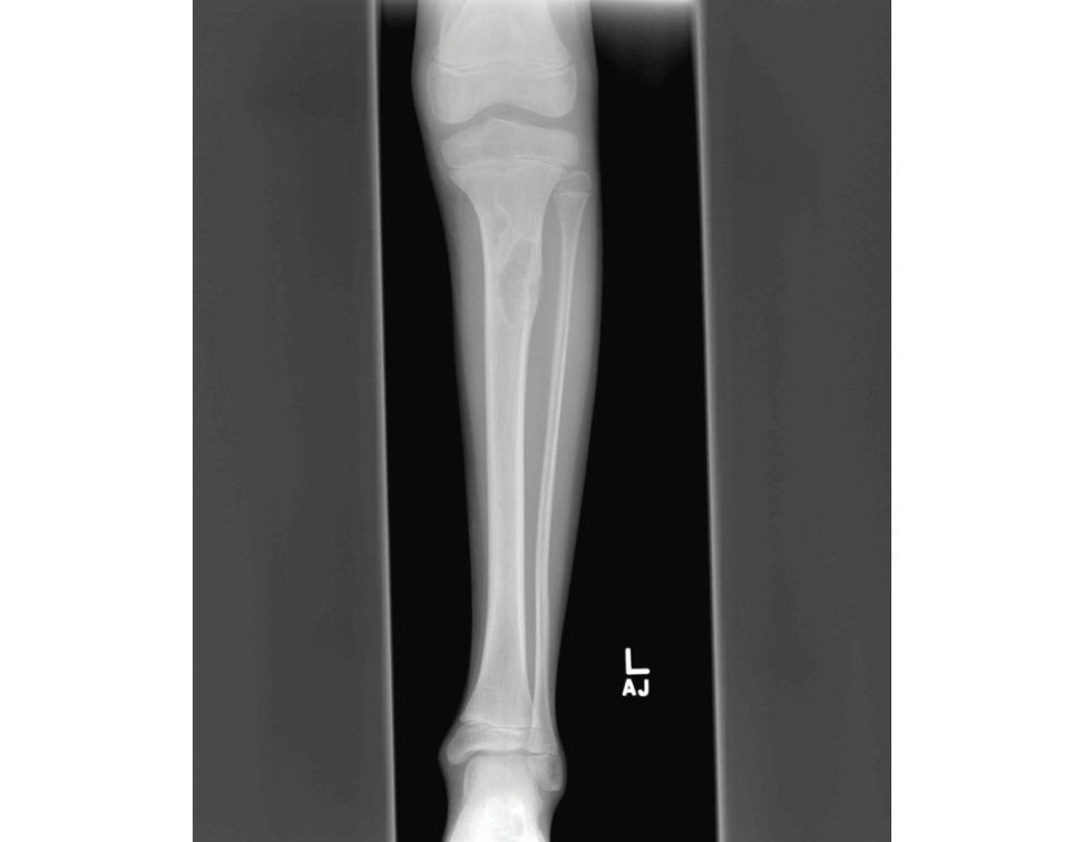 Figure 24.3