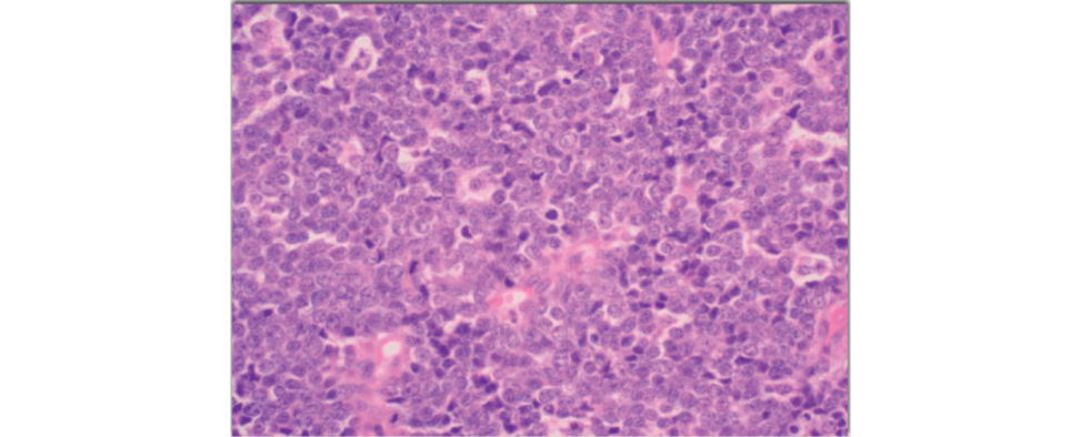 Figure 24.8