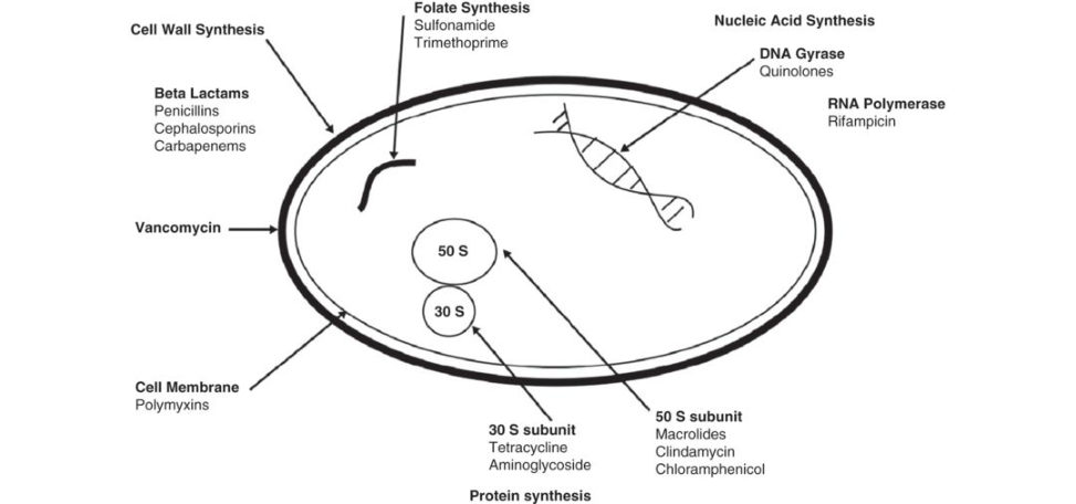 Figure 25.8