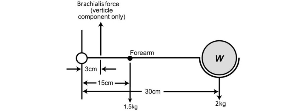 Figure 26.9c