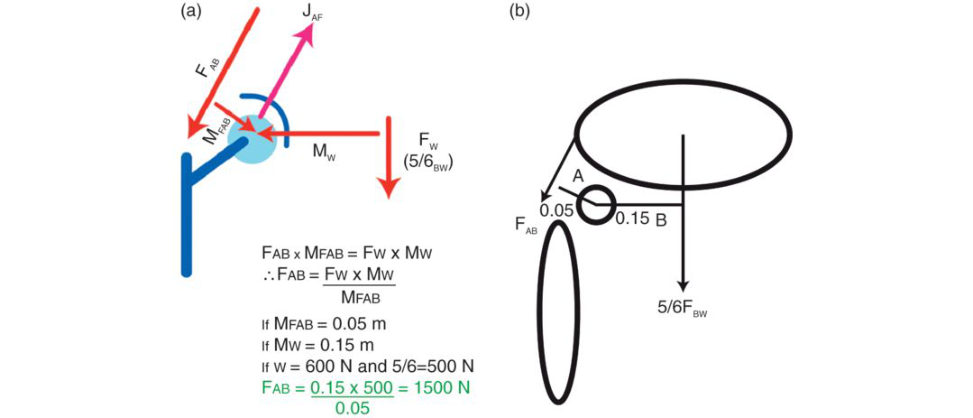 Figure 26.10a