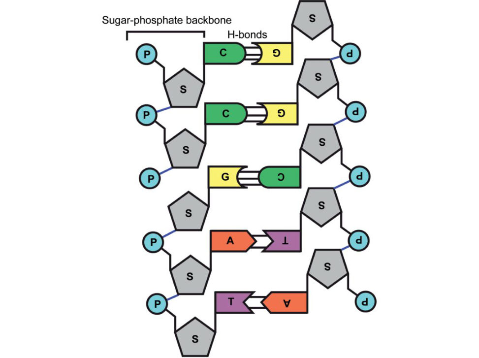 Figure 27.1