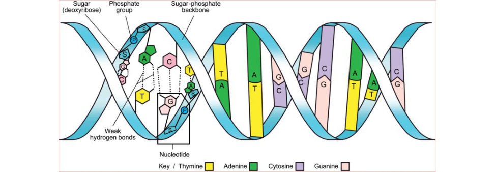 Figure 27.2