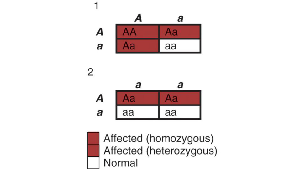 Figure 27.3