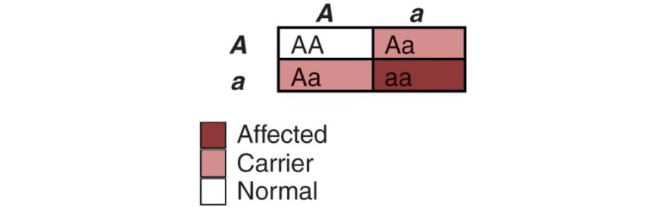 Figure 27.5