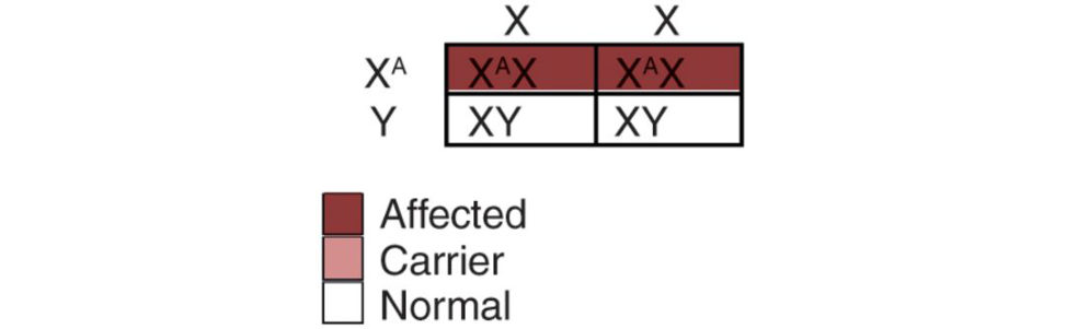 Figure 27.7