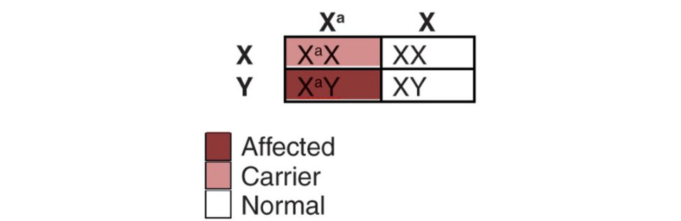 Figure 27.11