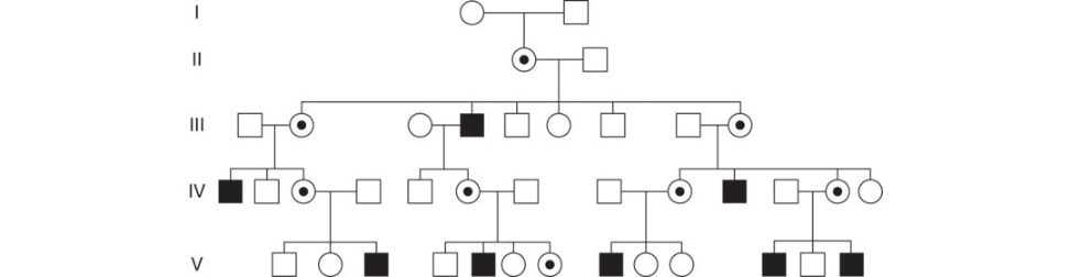 Figure 27.13