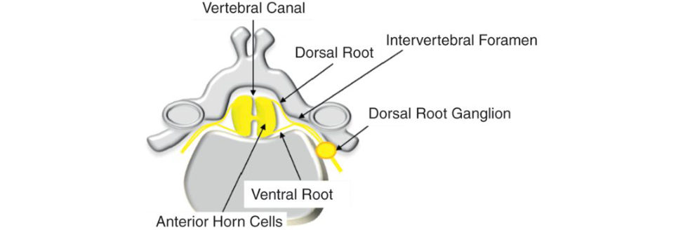 Figure 28.10