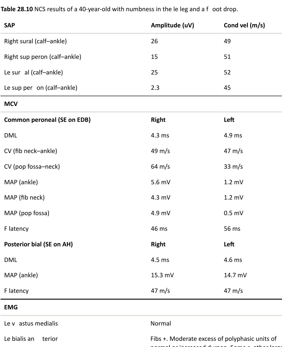 Table rendered from source
