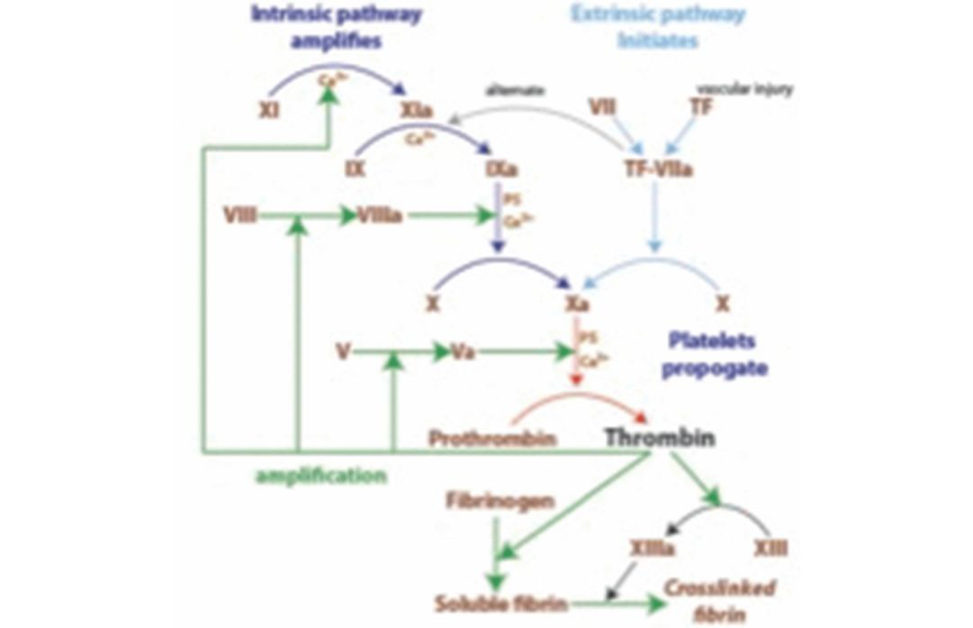 Figure 29.4