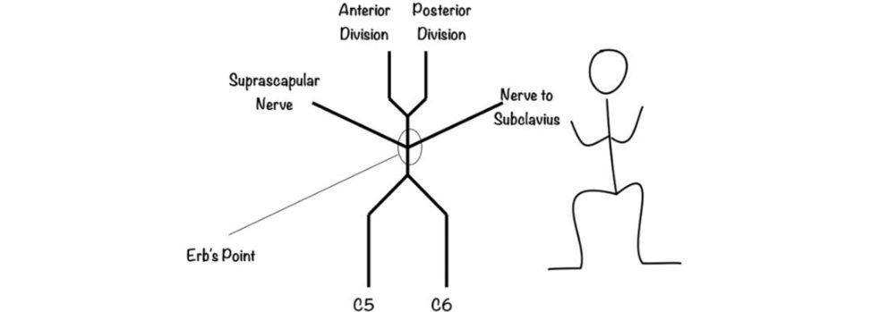 Figure 31.3