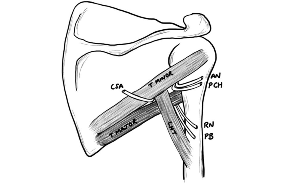 Figure 31.4