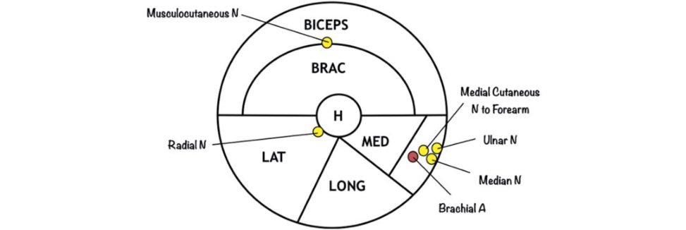Figure 31.6
