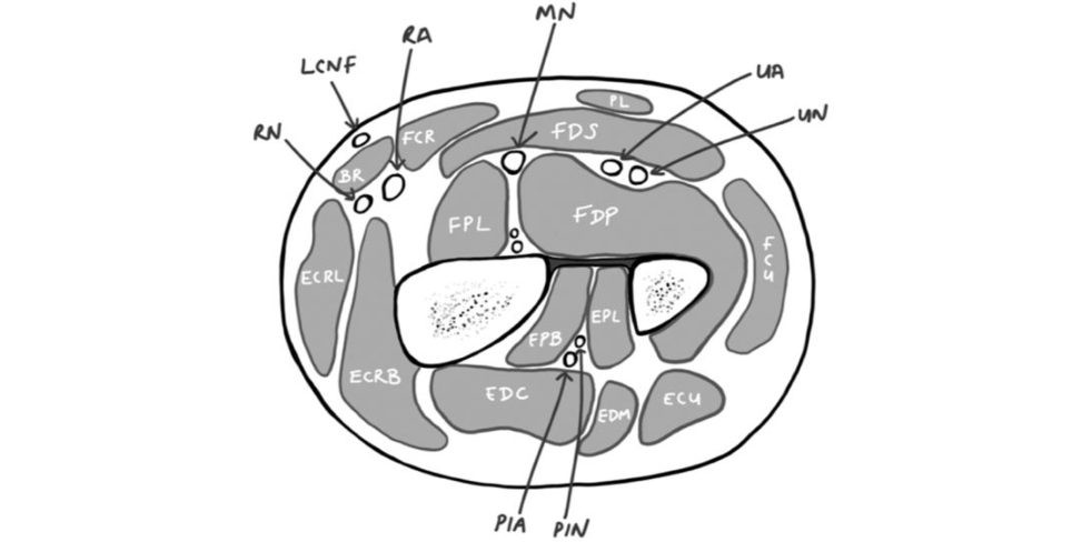 Figure 31.7
